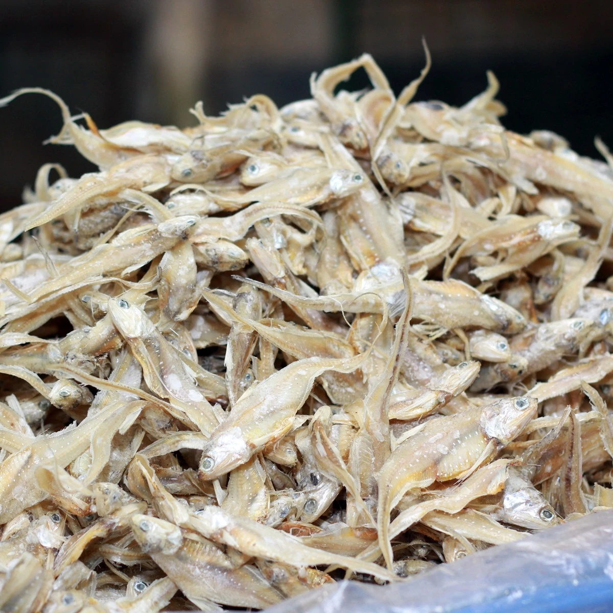 স্পেশাল সুন্দরী/সোনালী ওলুয়া শুঁটকি