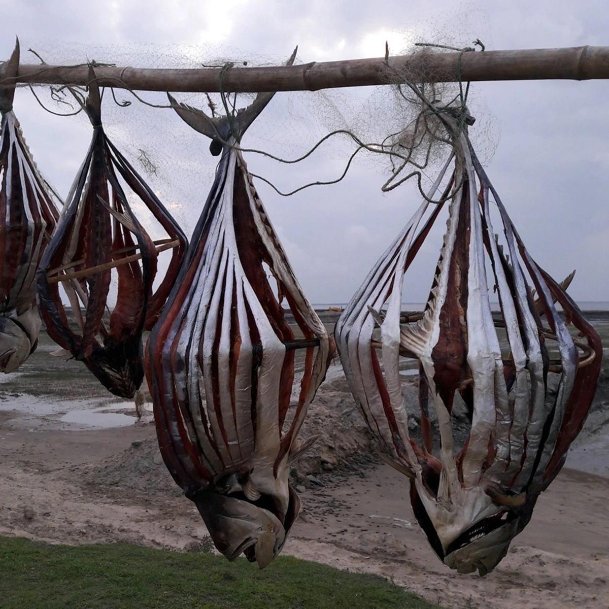 সুরমা শুঁটকি – লবণমুক্ত