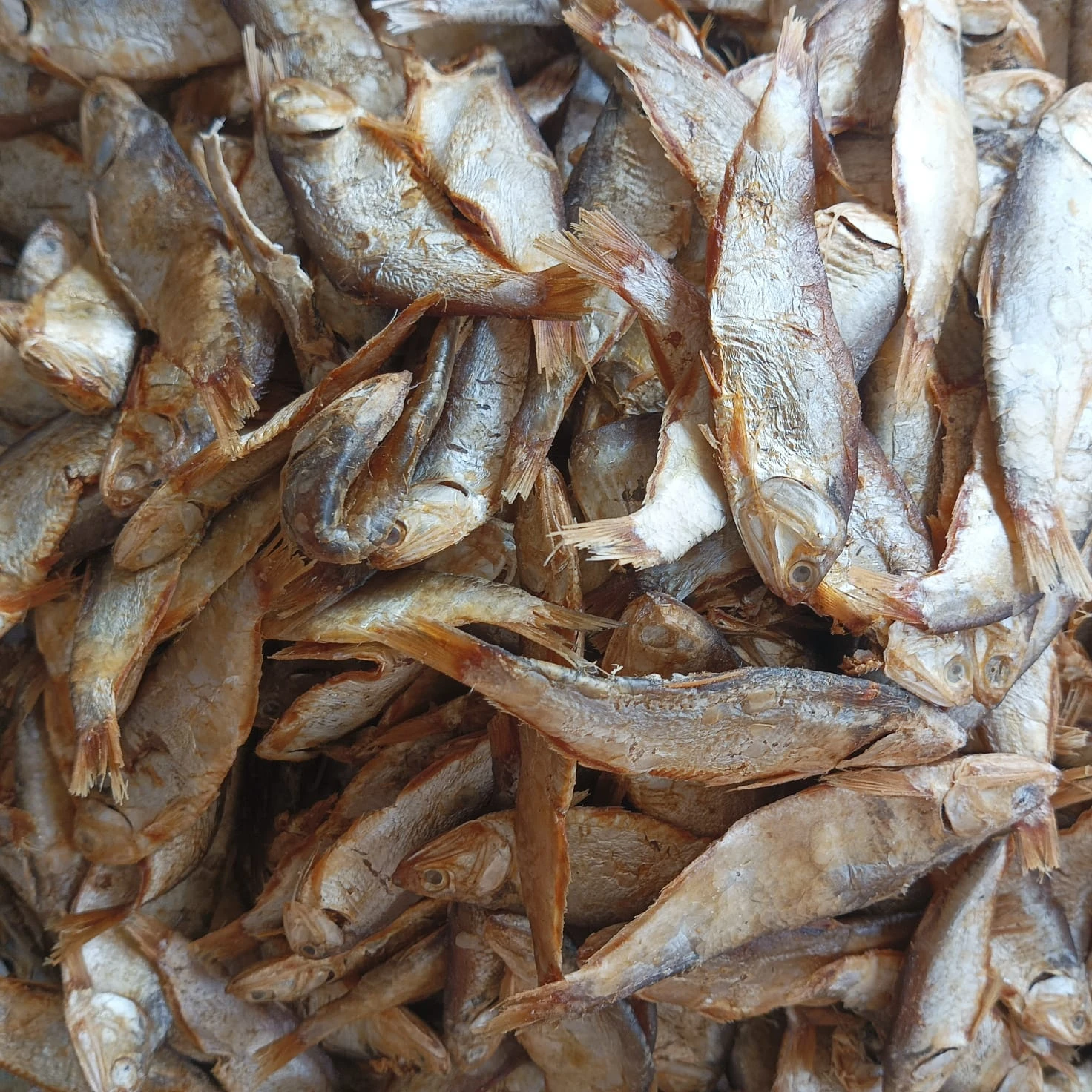 মধু ফাইস্যা সিদল শুটকি